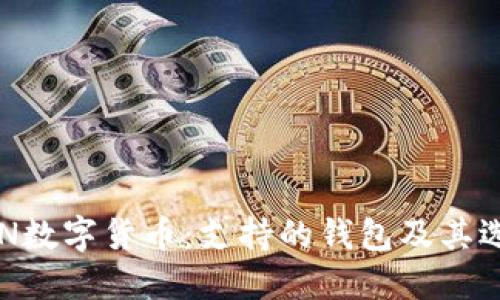 探索APN数字货币:支持的钱包及其选择指南