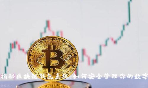 全面揭秘区块链钱包系统：如何安全管理你的数字资产