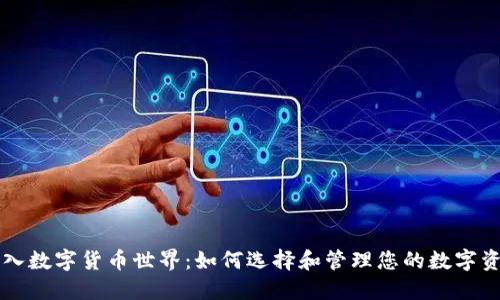 冒险进入数字货币世界：如何选择和管理您的数字资产钱包