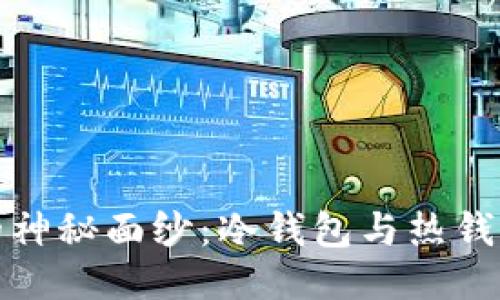 揭开区块链的神秘面纱：冷钱包与热钱包的深度比较