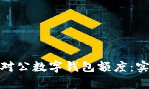 如何有效提升对公数字钱包额度：实用技巧与建议