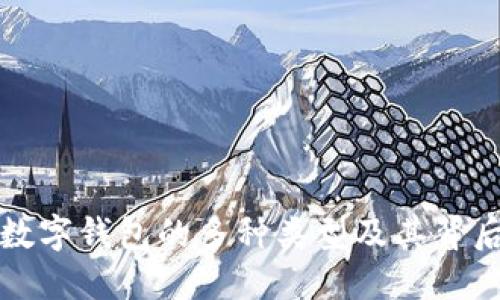 揭秘数字钱包的多种类型及其背后原因