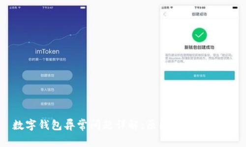 数字钱包异常问题详解：原因与解决方案