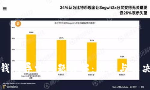 数字钱包异常问题详解：原因与解决方案
