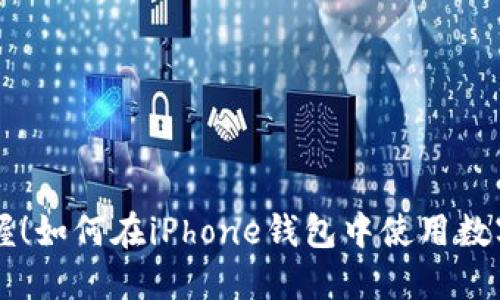 快速掌握！如何在iPhone钱包中使用数字人民币
