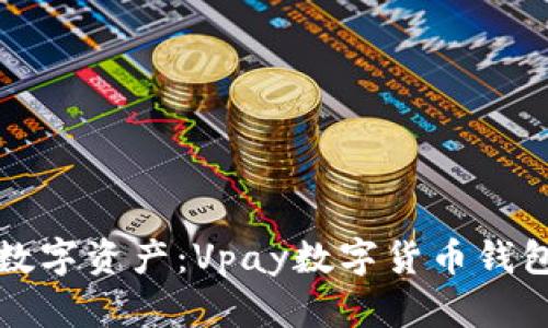 轻松管理数字资产：Vpay数字货币钱包全面解析