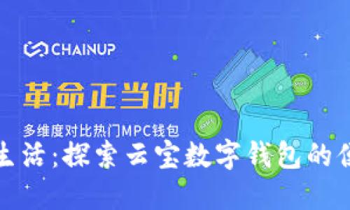 激活你的生活：探索云宝数字钱包的便捷与安全