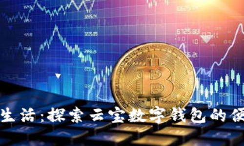 激活你的生活：探索云宝数字钱包的便捷与安全