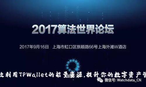 如何有效利用TPWallet的能量资源，提升你的数字资产管理体验