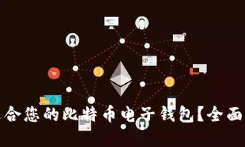 如何选择适合您的比特币电子钱包？全面指南与建议