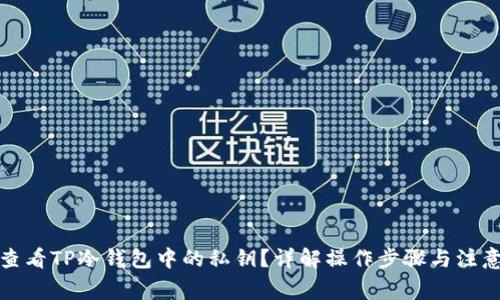 如何查看TP冷钱包中的私钥?详解操作步骤与注意事项