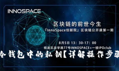 如何查看TP冷钱包中的私钥?详解操作步骤与注意事项