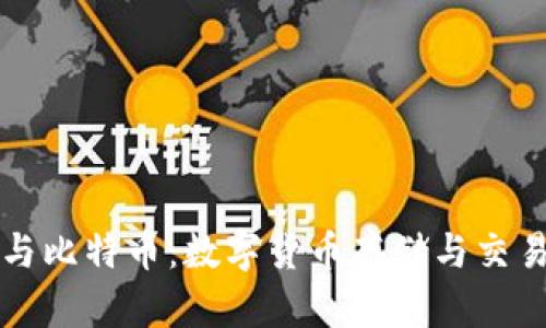 探究TP钱包与比特币：数字货币存储与交易的关键区别