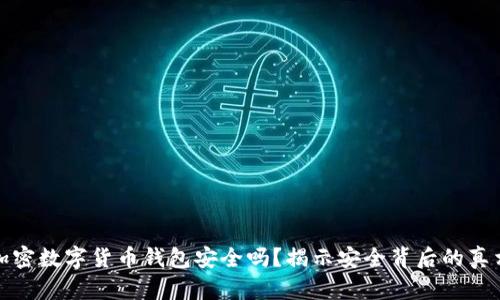 加密数字货币钱包安全吗?揭示安全背后的真相