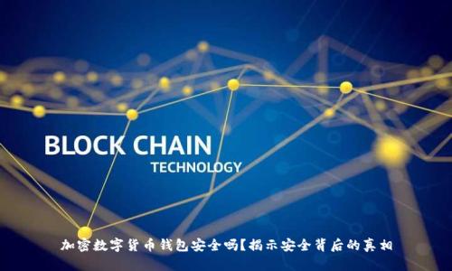 加密数字货币钱包安全吗?揭示安全背后的真相