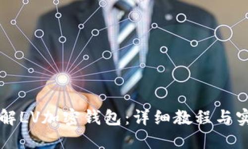 深入了解LV加密钱包:详细教程与实用指南