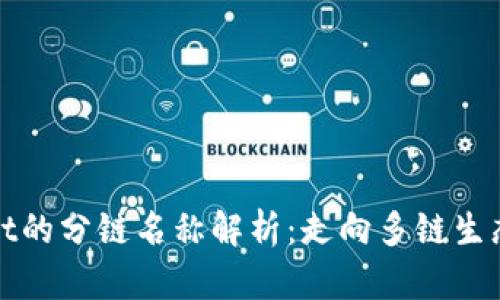 tpwallet的分链名称解析:走向多链生态的未来