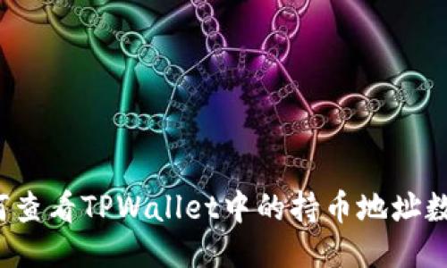 如何查看TPWallet中的持币地址数量?