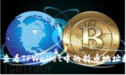 如何查看TPWallet中的持币地址数量?