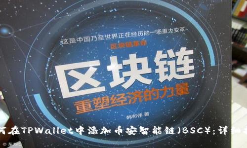 如何在TPWallet中添加币安智能链(BSC):详细指南