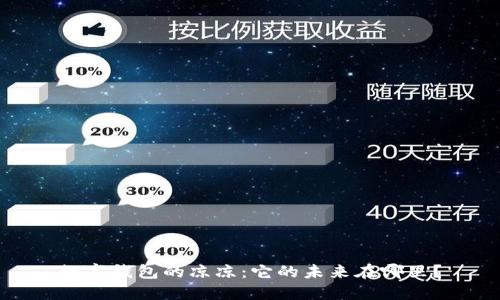 数字钱包的凉凉:它的未来在哪里?