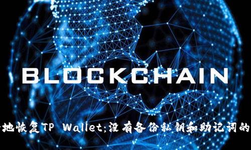 如何安全地恢复TP Wallet:没有备份私钥和助记词的解决方案