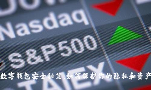 数字钱包安全秘笈:如何保护你的隐私和资产