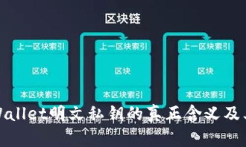 揭秘TPWallet明文私钥的真正含义及其重要性