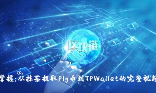 轻松掌握:从抹茶提取Pig币到TPWallet的完整视频教程