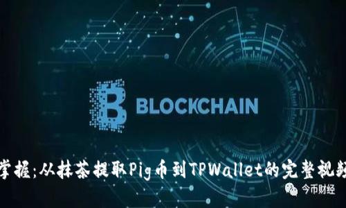 轻松掌握:从抹茶提取Pig币到TPWallet的完整视频教程
