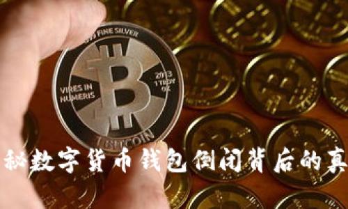 揭秘数字货币钱包倒闭背后的真相