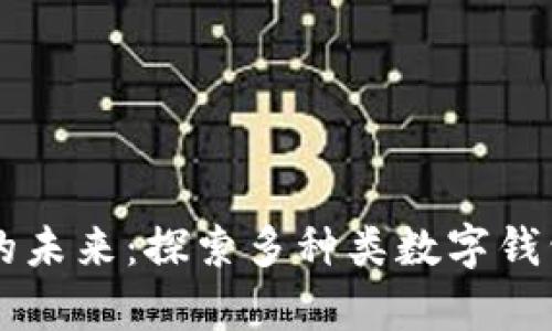 畅享数字钱包的未来:探索多种类数字钱包的奥秘与应用