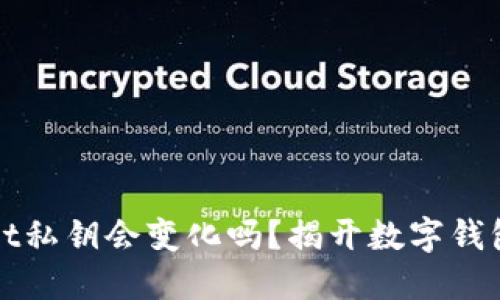 TPWallet私钥会变化吗?揭开数字钱包的秘密