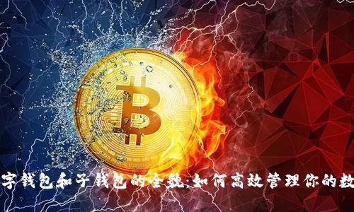揭开数字钱包和子钱包的全貌：如何高效管理你的数字资产