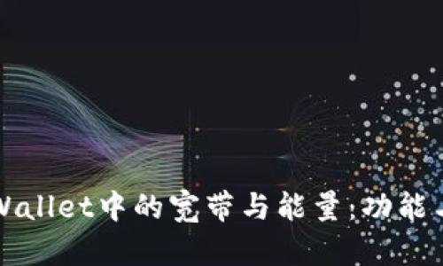 深入解析TPWallet中的宽带与能量：功能与应用全攻略
