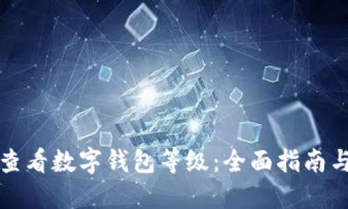 如何查看数字钱包等级：全面指南与技巧