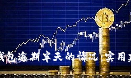 如何应对数字钱包逾期半天的情况:实用建议与解决方案