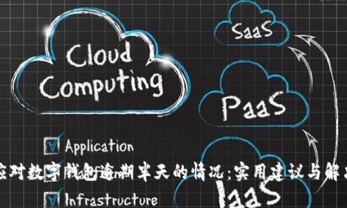 如何应对数字钱包逾期半天的情况:实用建议与解决方案