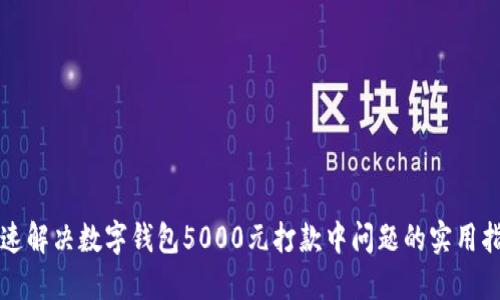 快速解决数字钱包5000元打款中问题的实用指南