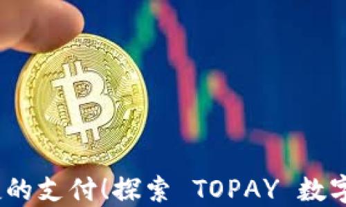 
畅享安全、便捷的支付！探索 TOPAY 数字钱包下载路径