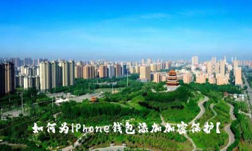 如何为iPhone钱包添加加密保护?