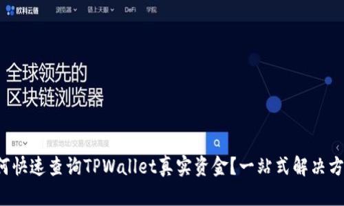 如何快速查询TPWallet真实资金?一站式解决方案!