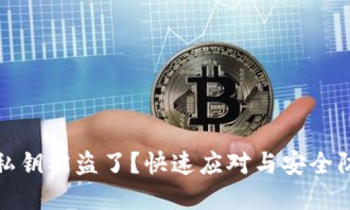 tpwallet私钥被盗了?快速应对与安全防护全攻略