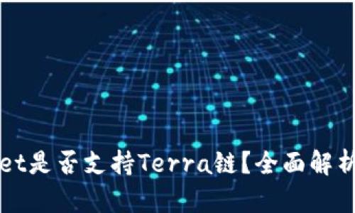 TPWallet是否支持Terra链?全面解析与指南