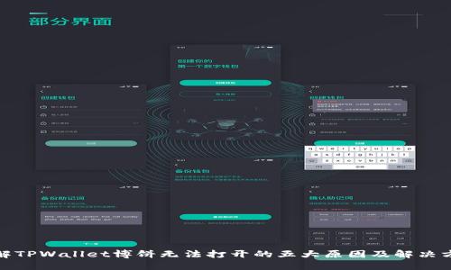 破解TPWallet博饼无法打开的五大原因及解决方案