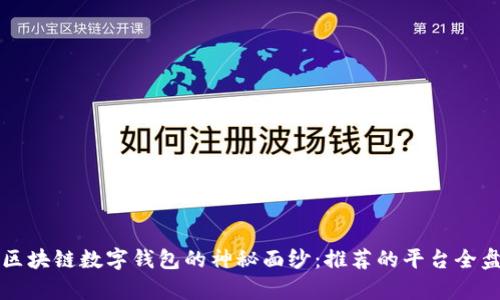 揭开区块链数字钱包的神秘面纱:推荐的平台全盘解析