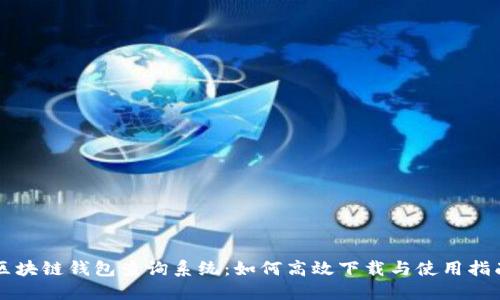 区块链钱包查询系统:如何高效下载与使用指南