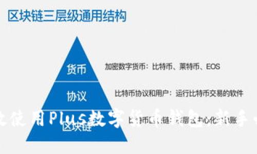 如何高效使用Plus数字货币钱包：新手必读指南
