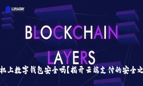飞机上数字钱包安全吗？揭开云端支付的安全之谜