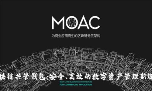 区块链共管钱包:安全、高效的数字资产管理新选择